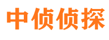 华龙寻人公司